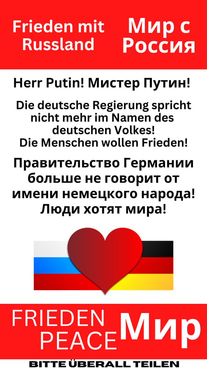 Toddy Zelm tweet media
