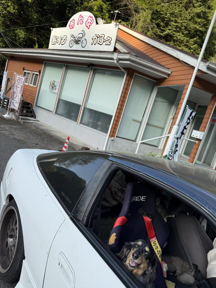 もやし(◝ ᴗ ◜)₰₁₂𝓡🐶🏍🚗 tweet media