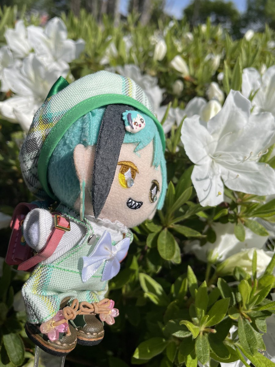 るるた ぬい部 tweet media