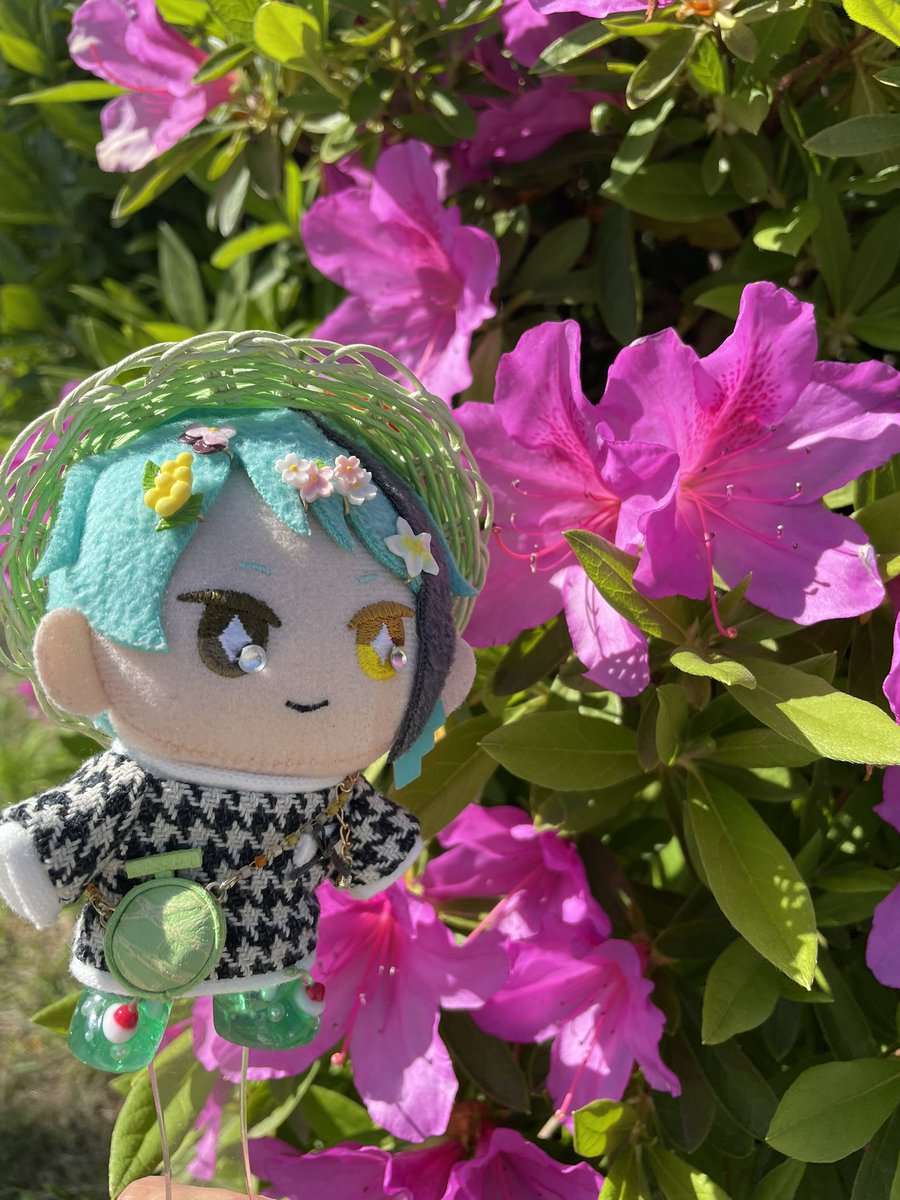 るるた ぬい部 tweet media