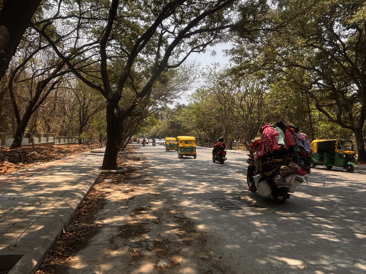 Bengaluru Post tweet media