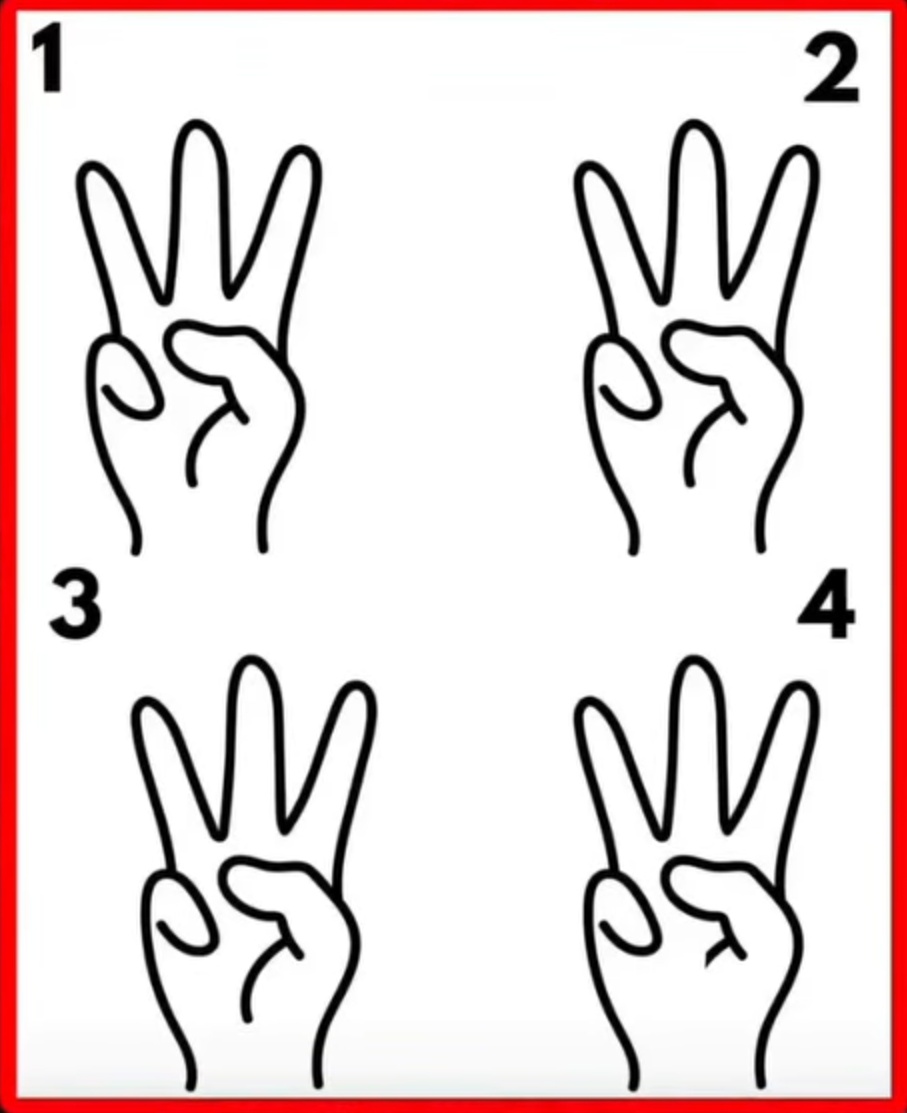 xylomyst✨ tweet media