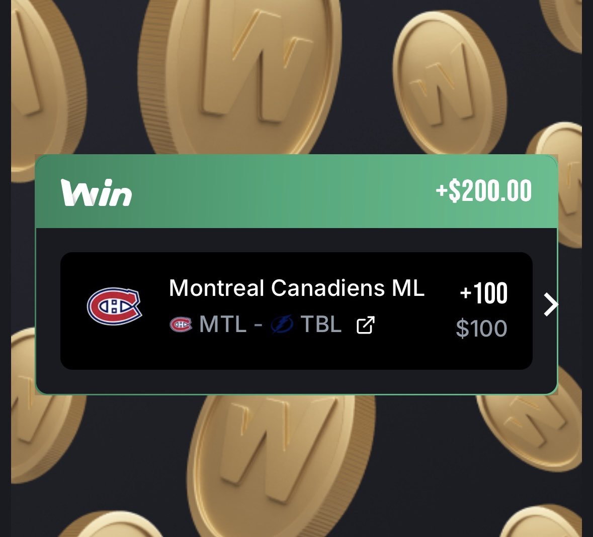 FIRSTLADYNHL tweet media
