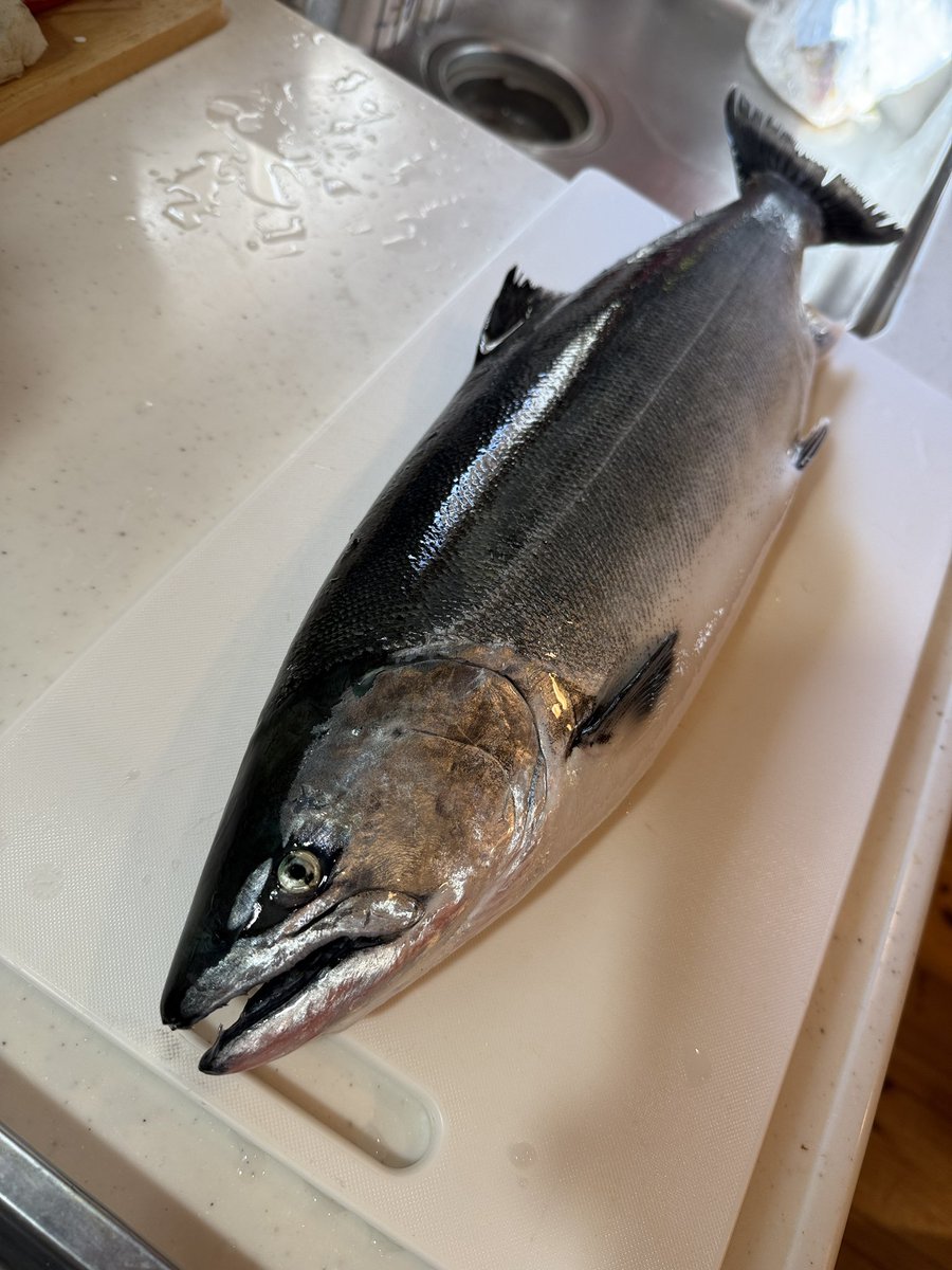 まるまる tweet media