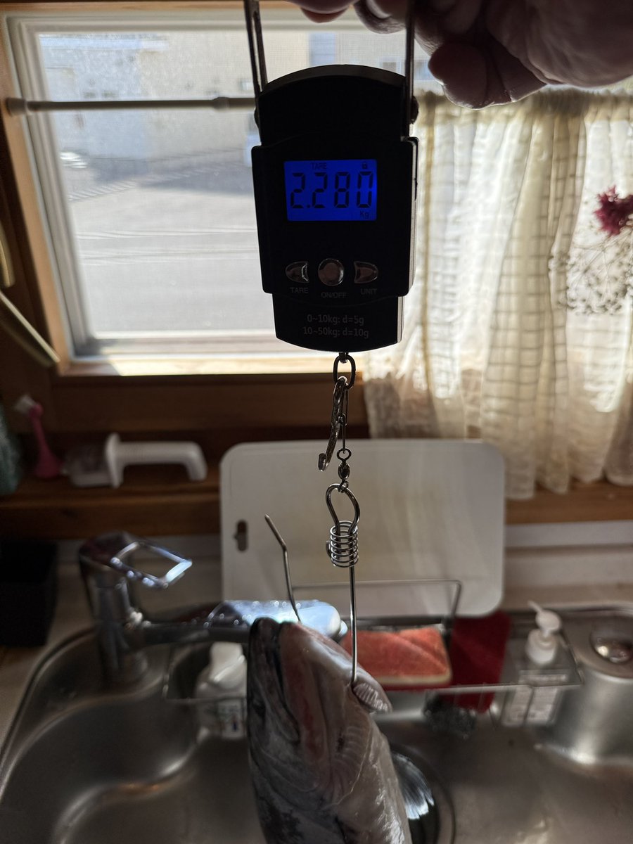 まるまる tweet media