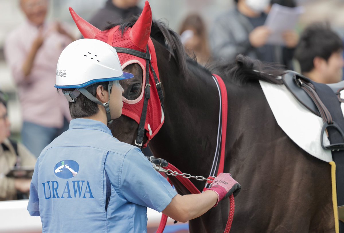 ちゃぼ tweet media