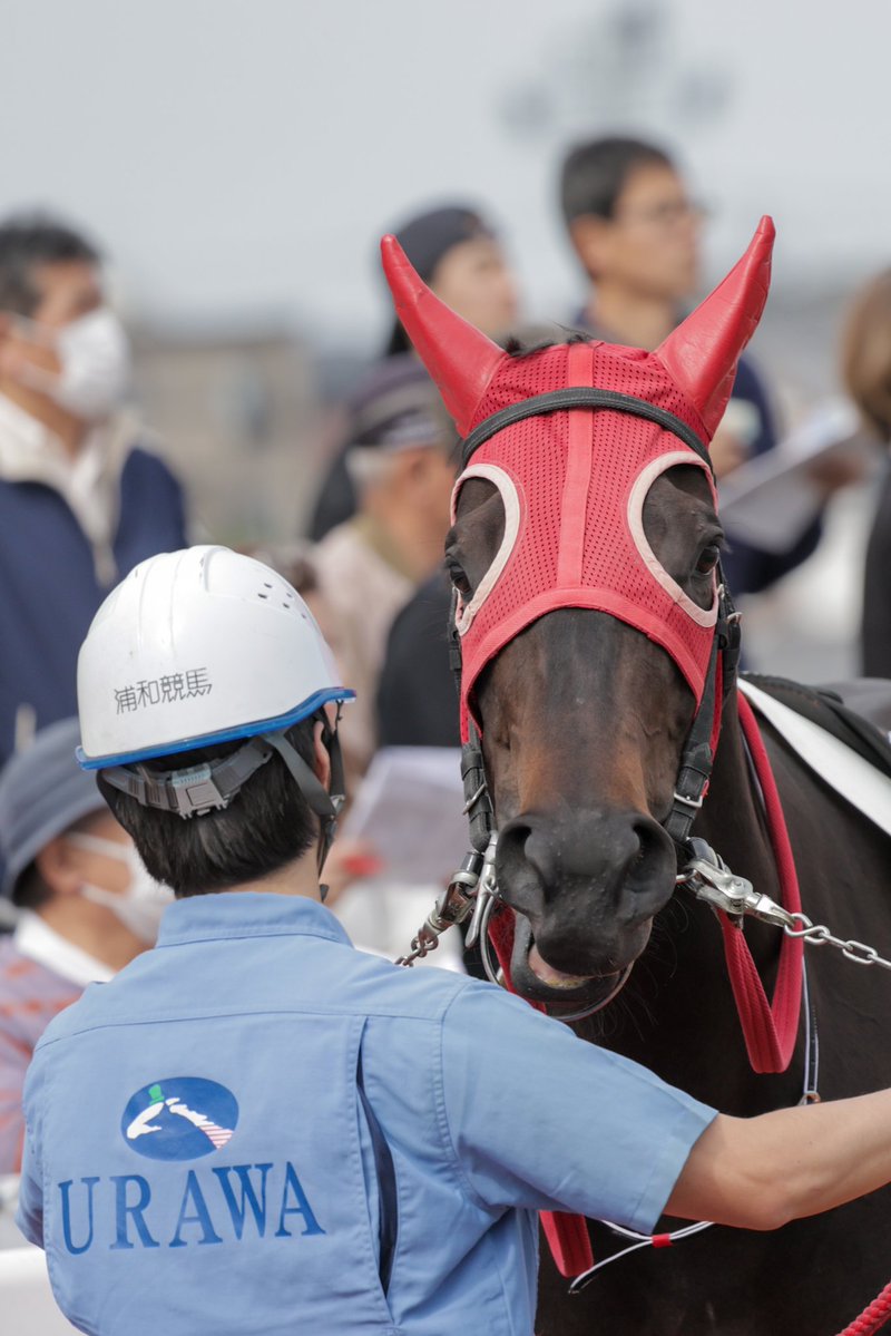 ちゃぼ tweet media