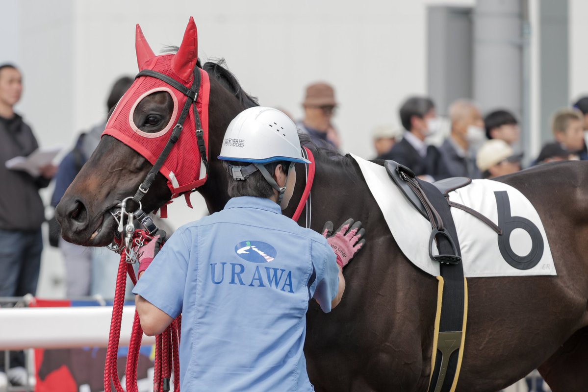 ちゃぼ tweet media