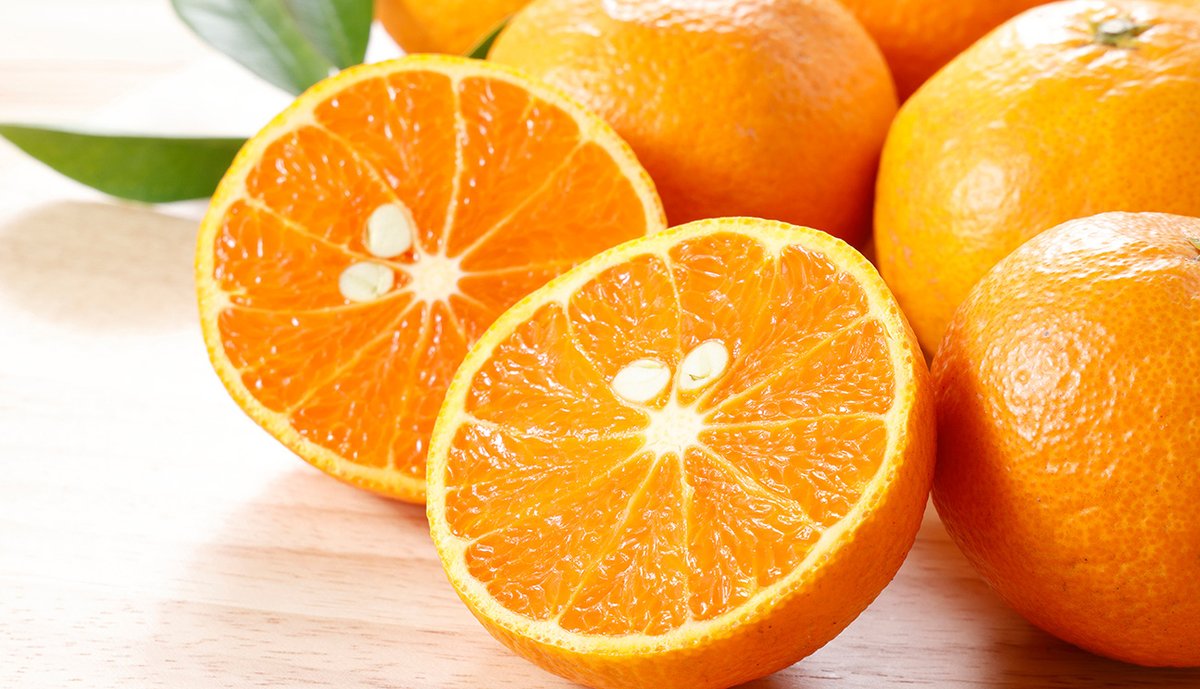 ハーベスト｜えひめのおくりもの tweet media