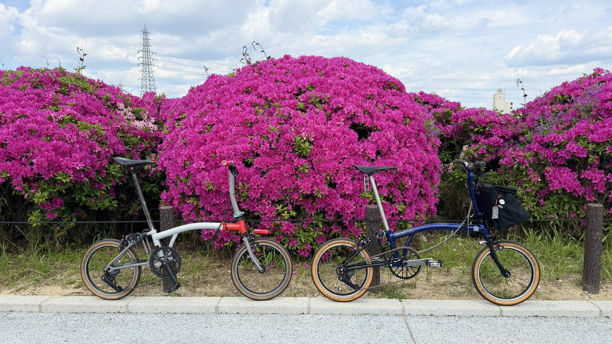 kazu_papan's tweet image. らいあんさんとツツジ🌺を見に来たら、まるさんとも偶然バッタリ✨

らいあんさんとお茶することになり、アカリ珈琲へ☕️
近場ポタなのに偶然が重なり充実した1日になりました✌︎('ω')✌︎
#BROMPTON