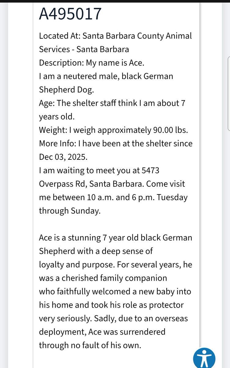 8415_n's tweet image. Ace #A495015
#euthlisted 5️⃣/7️⃣‼

Shelter listing:
24Petconnect.com/DetailsMain/SN…

#SantaBarbara #SantaBarbaraCounty #SoCal #California #LA #CA #dogrescue #fosterssavelives #adoptdontshop