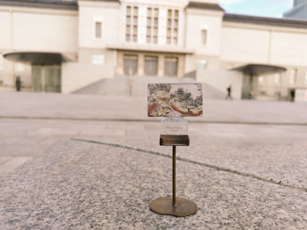 メグラー(巡回鳥) tweet media