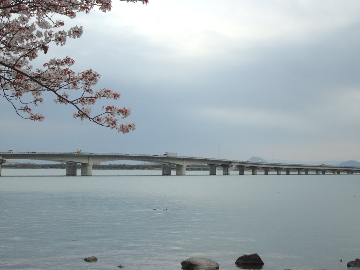 小バカにされる滋賀県民bot tweet media