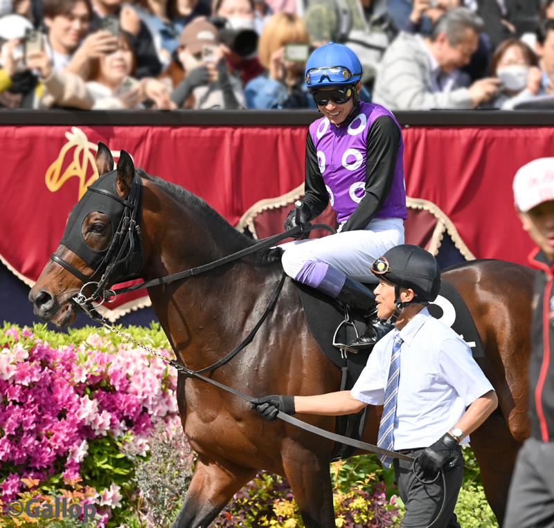 週刊Gallop（Weekly Gallop） tweet media