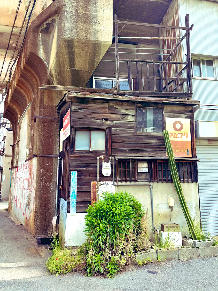 パピーペットサチ tweet media