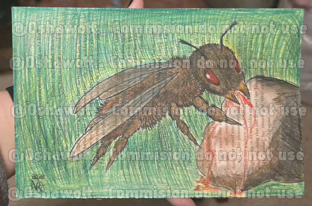 gothic_pidge's tweet image. Commison done for @/persephone2929_ 
Vulture bee eating rotting meat
Materials used: prismacolor
Time take: a little over 2 hours
#bee #vulturebee #gothartist #art #artist #coloredpencils