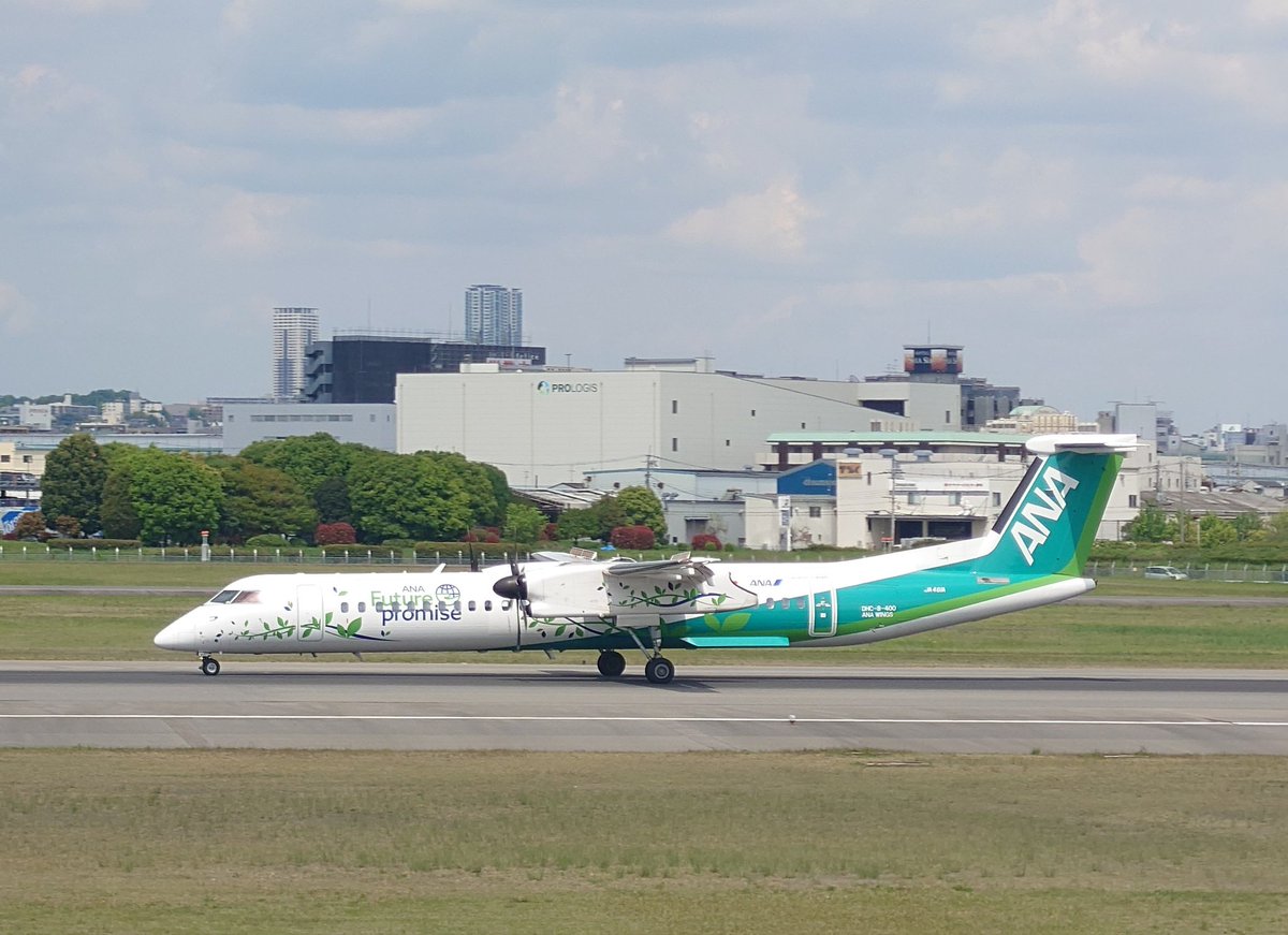 OeOKseg1s171518's tweet photo. 今日の #伊丹スカイパーク✈️🎶
四つ葉のクローバー見つけました🍀
お目々キラーン✨のみぞかちゃん、元気に出発〜🐬🎶
片方だけ白ウイングレットの737さんも、会えました😆新緑が似合う葉っぱちゃんも🌿
#JA01AM #JA74AN #JA461J https://t.co/PVZmgWvVAY
