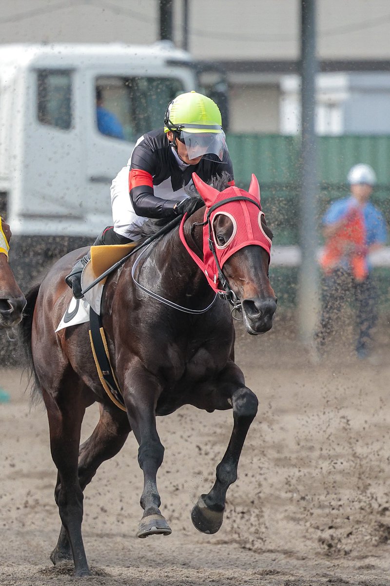 ちゃぼ tweet media