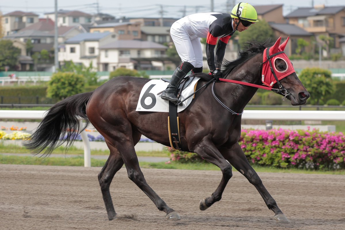 ちゃぼ tweet media