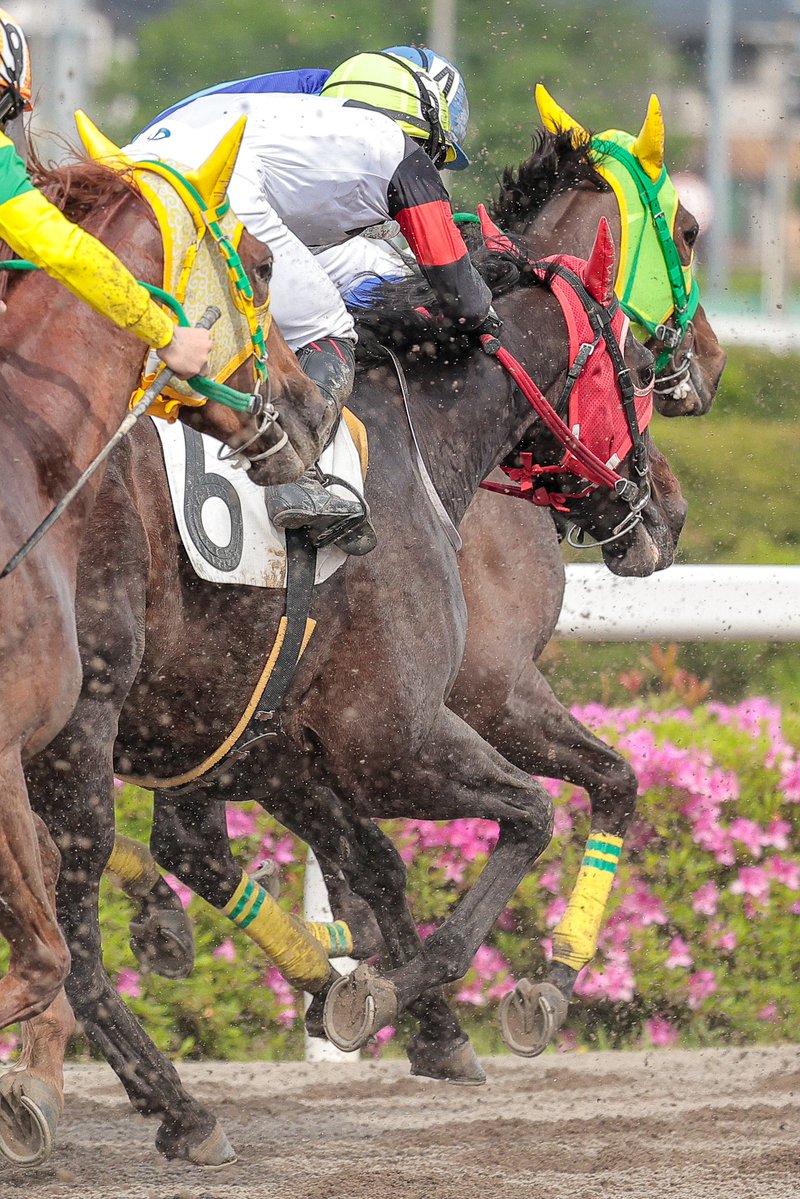 ちゃぼ tweet media