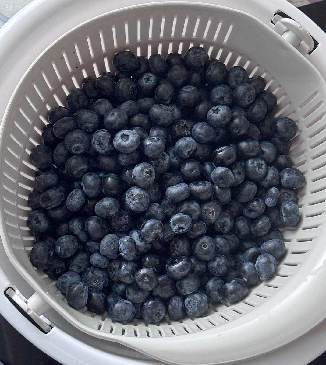 𝒅𝒂𝒏𝒊. tweet media