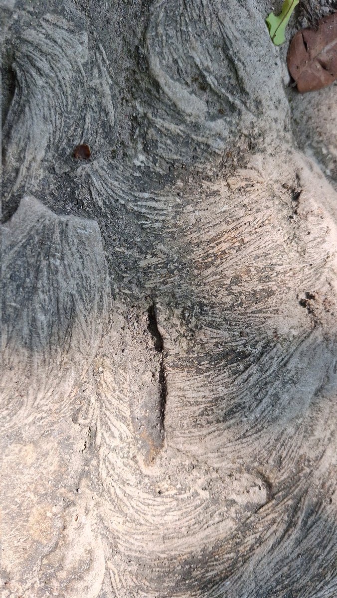 INFOMITIGASI tweet media