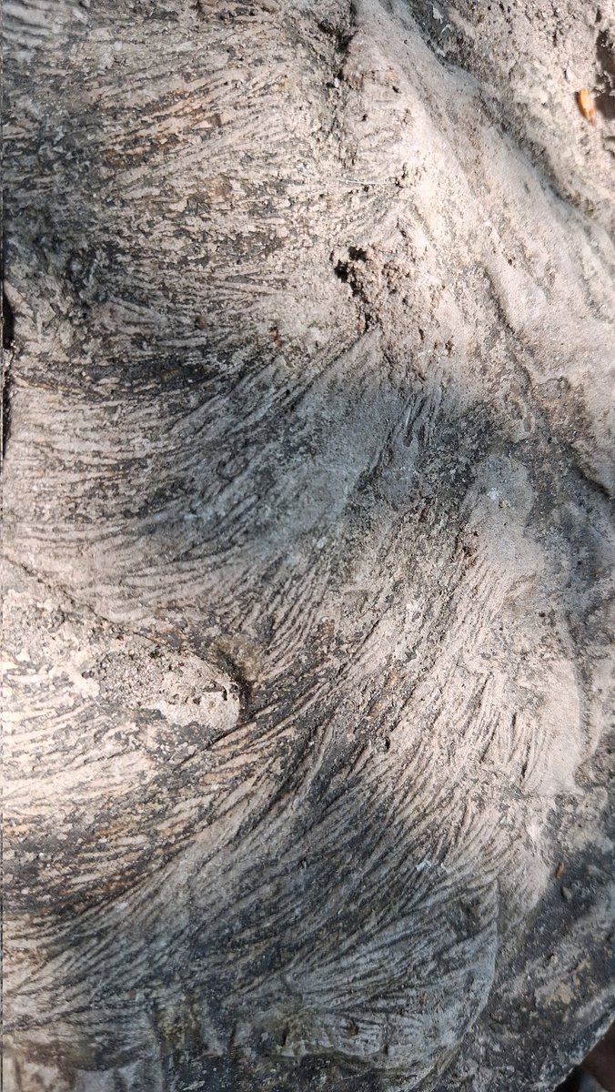 INFOMITIGASI tweet media