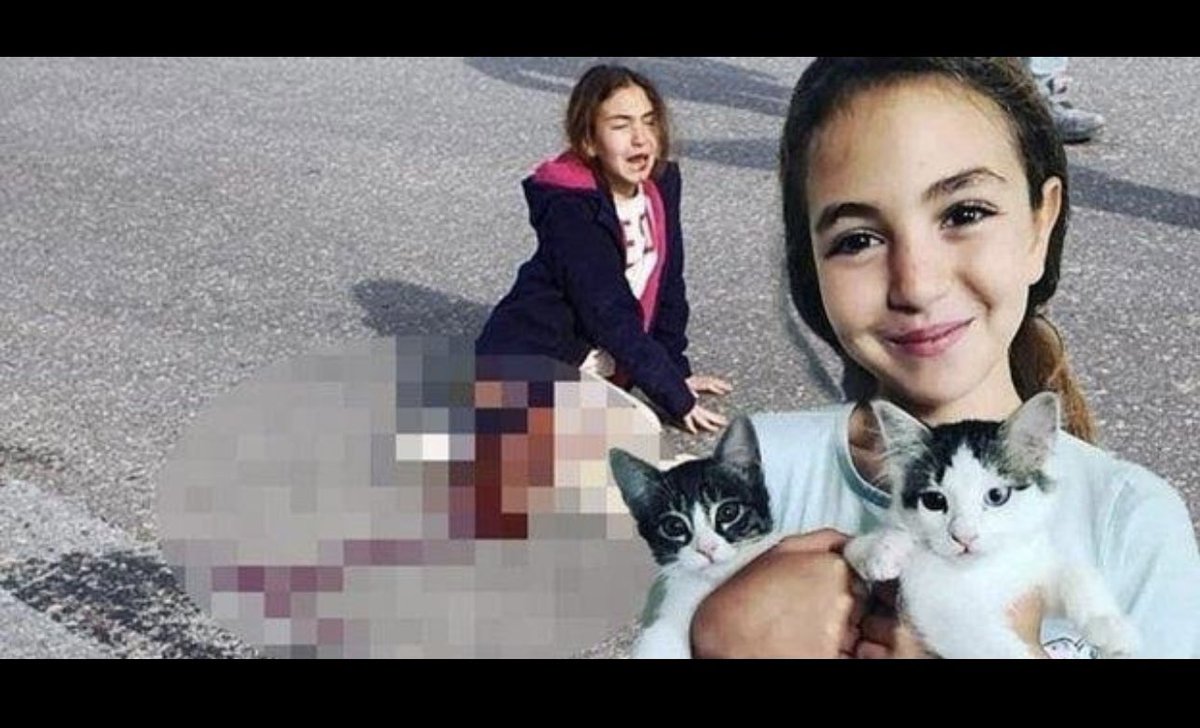 Av. Meltem Zorba tweet media