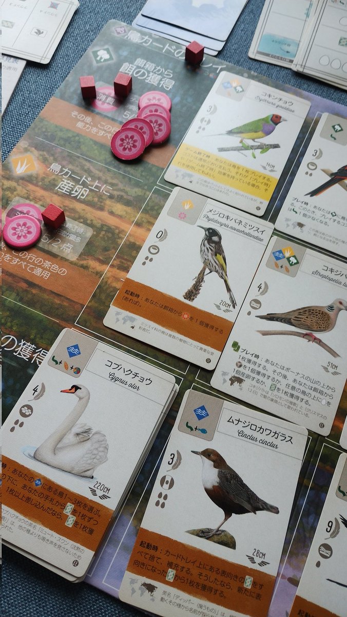 #ウイングスパン 東洋+欧州大洋ソロ(基本抜き)

◆湿地のコブハクチョウたんまり差込み路線◆森は餌追加系多めで食に困らず◆小さい鳥が多く「スズメ目の専門家」と相性良し◆ゲーム終了時効果でゲーム終了時効果鳥を追加◆97対85で勝ち！

そして中南米の翼がサニーバードに入荷との連絡が！やった！