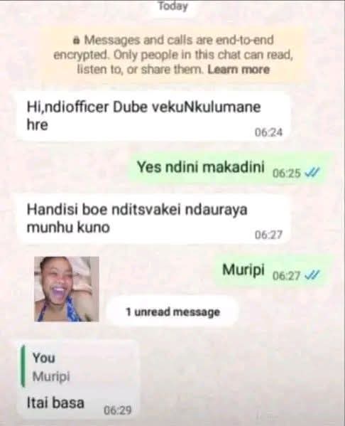 CoralSoft tweet media