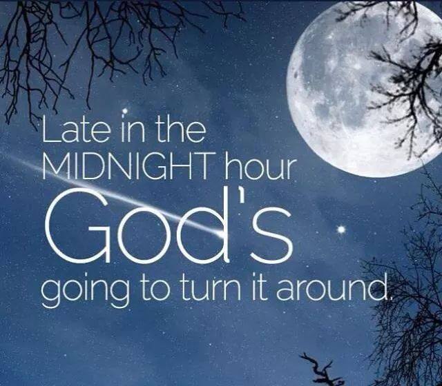 ElonMusksLonelHeartsClub tweet media