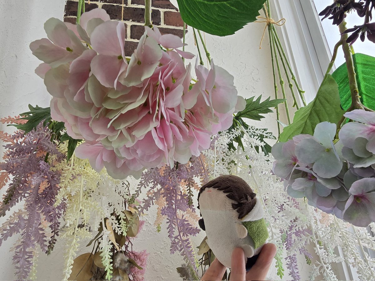 #わた族撮影会260418 
わた族のスタジオ撮影会に参加してきました🎉
#もちくわ