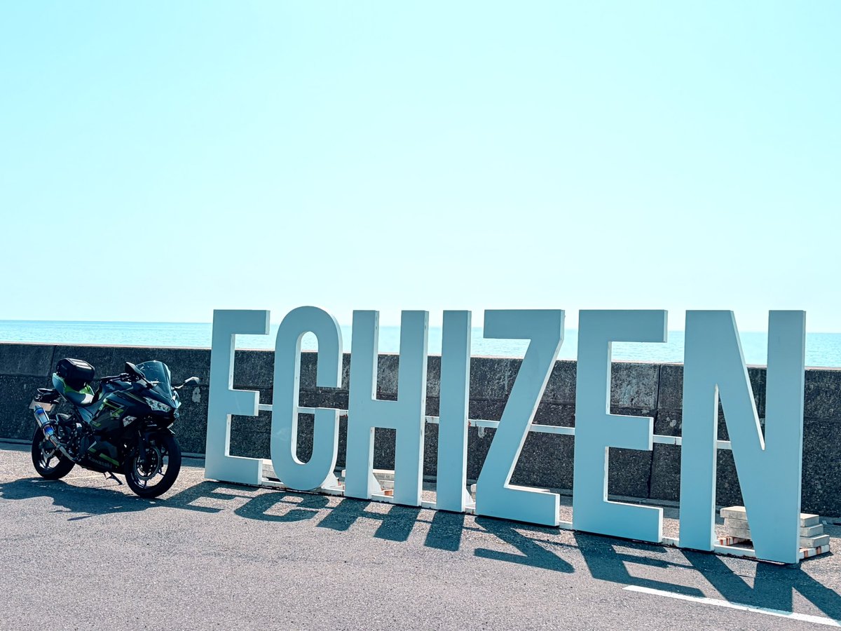 きな こ🐥 tweet media