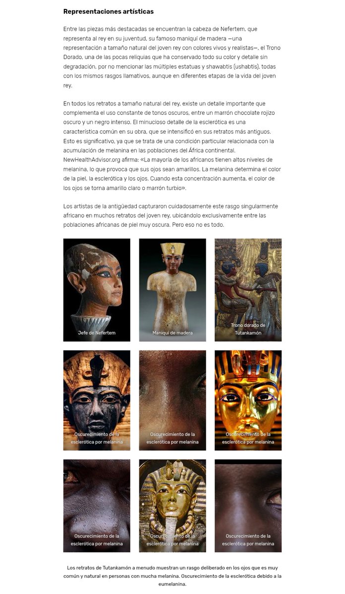 Narmer X tweet media