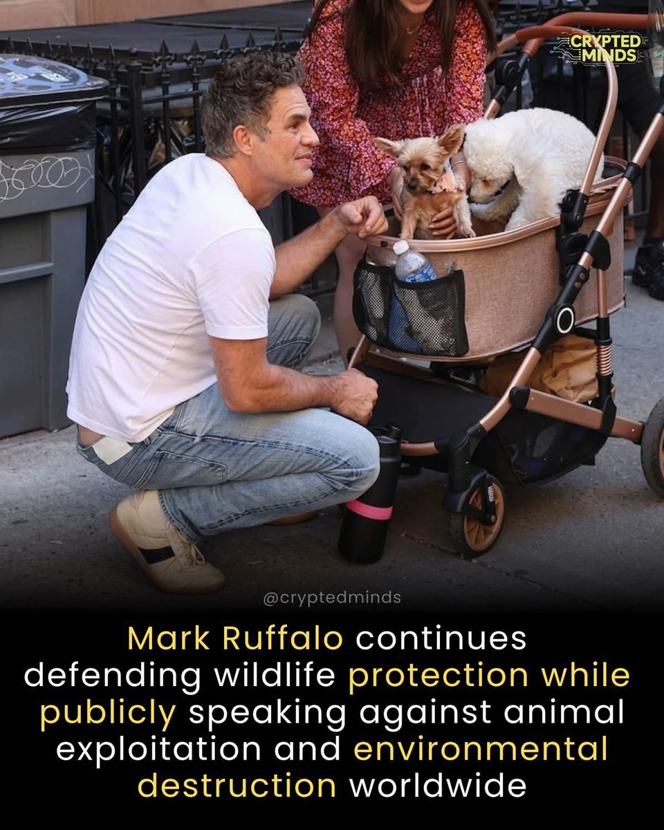 PROTECT ALL WILDLIFE tweet media