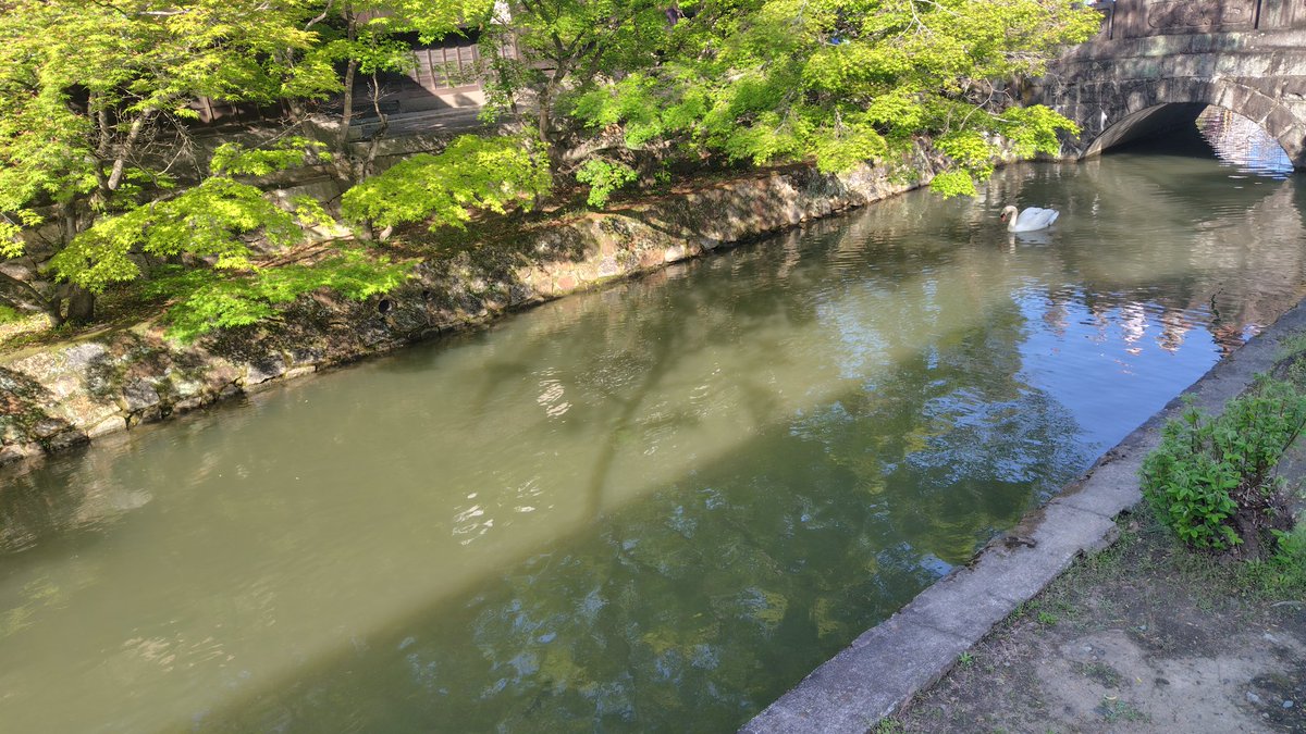 安藤 雅生“さすらいの格闘志士” tweet media