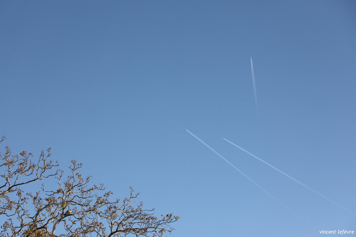 vinclefevre's tweet image. Bonjour #enlair, #quandmême1, 1 #samedi #aussi 😉