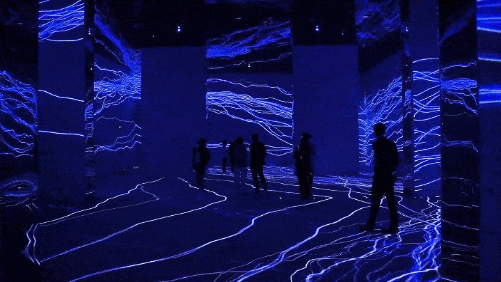 Patrice Bringley tweet media