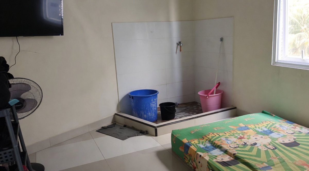 aril piterpen tweet media