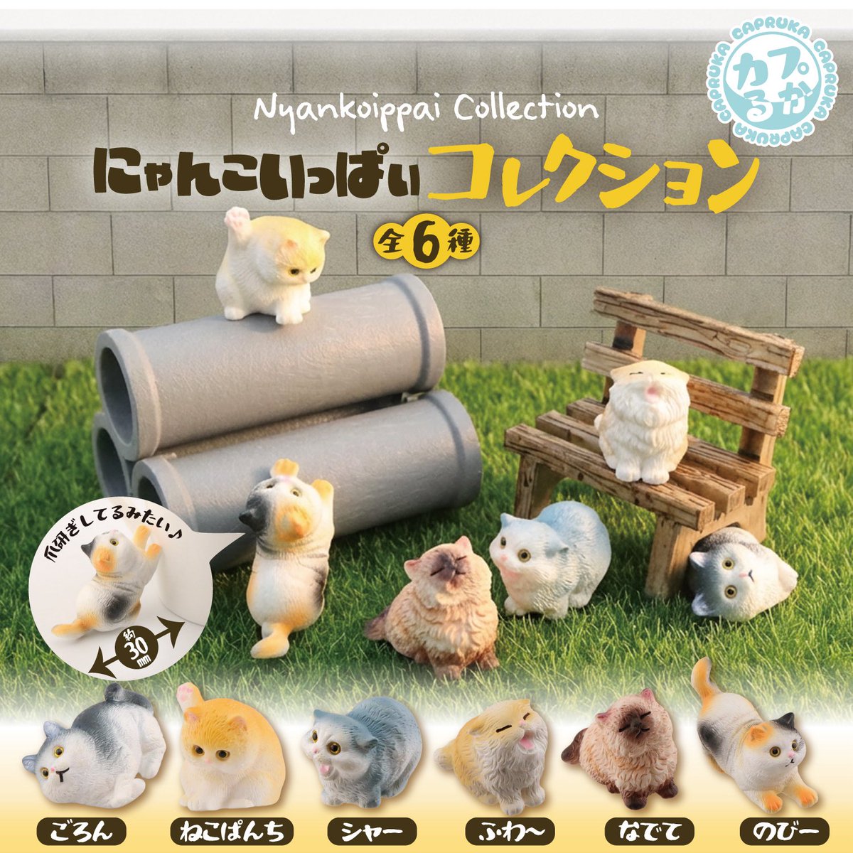 📍商品入荷案内📍 ◎ こびとづかん おすわりマスコット5 ◎ ほっぺ