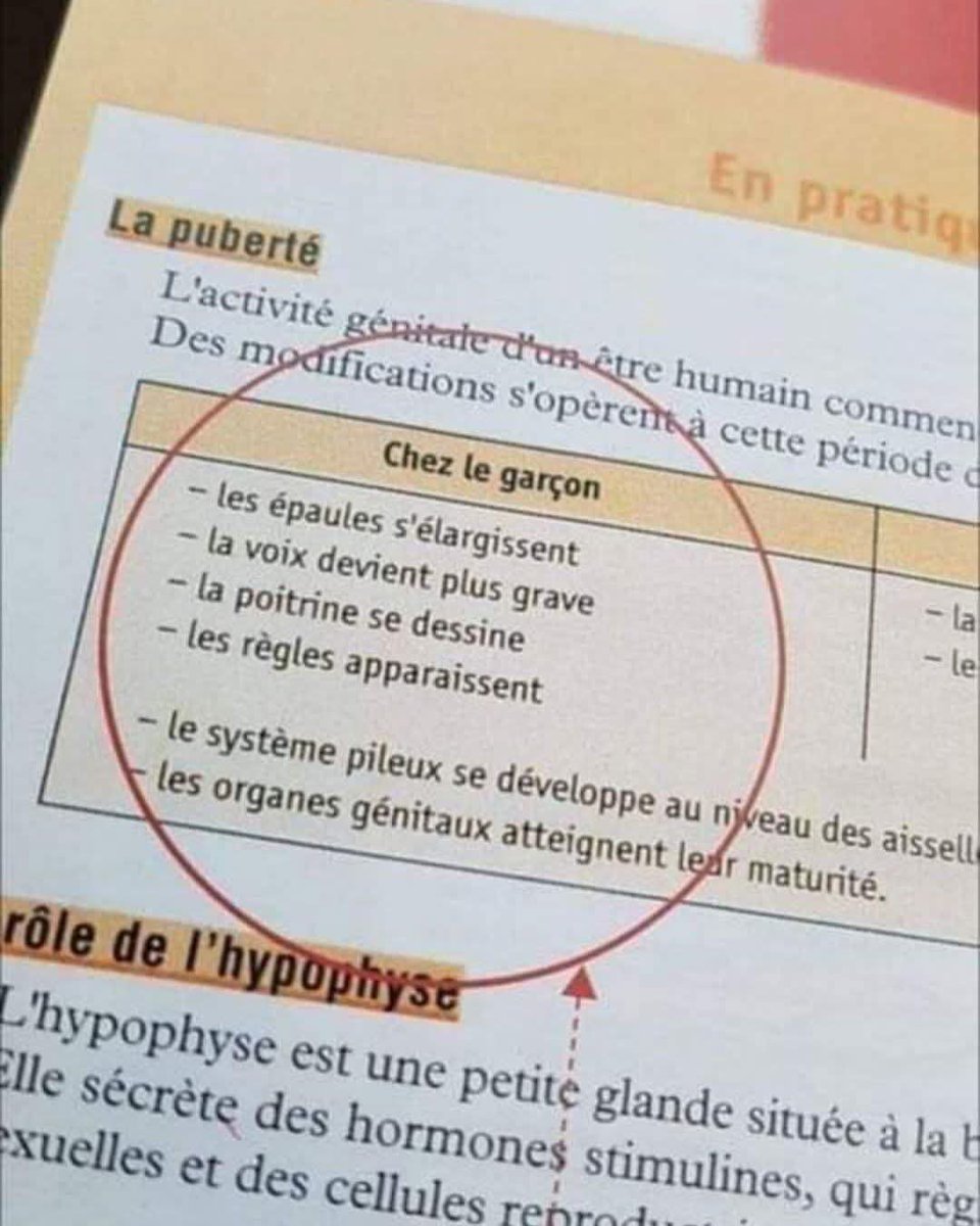 Les Quoi ? 😅😅😅