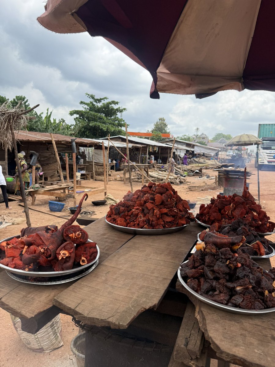 chellseey tweet media