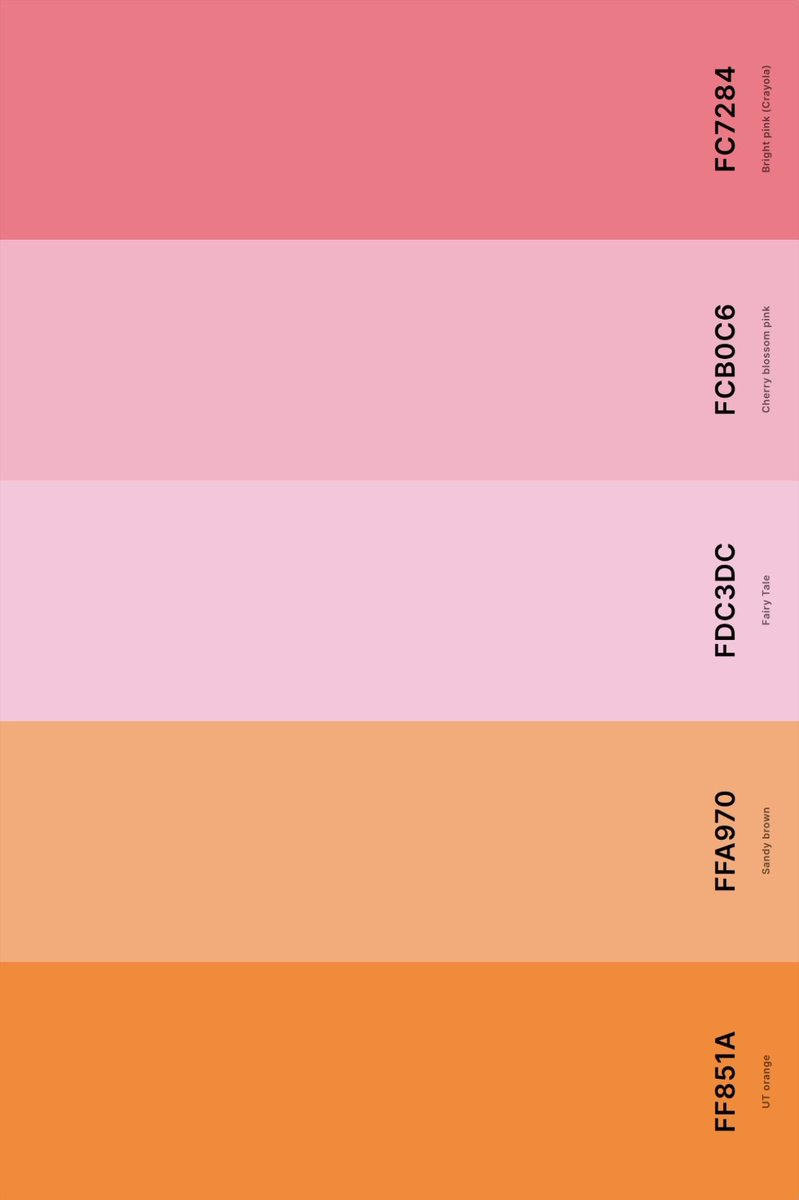 MUSE | ميوز tweet media