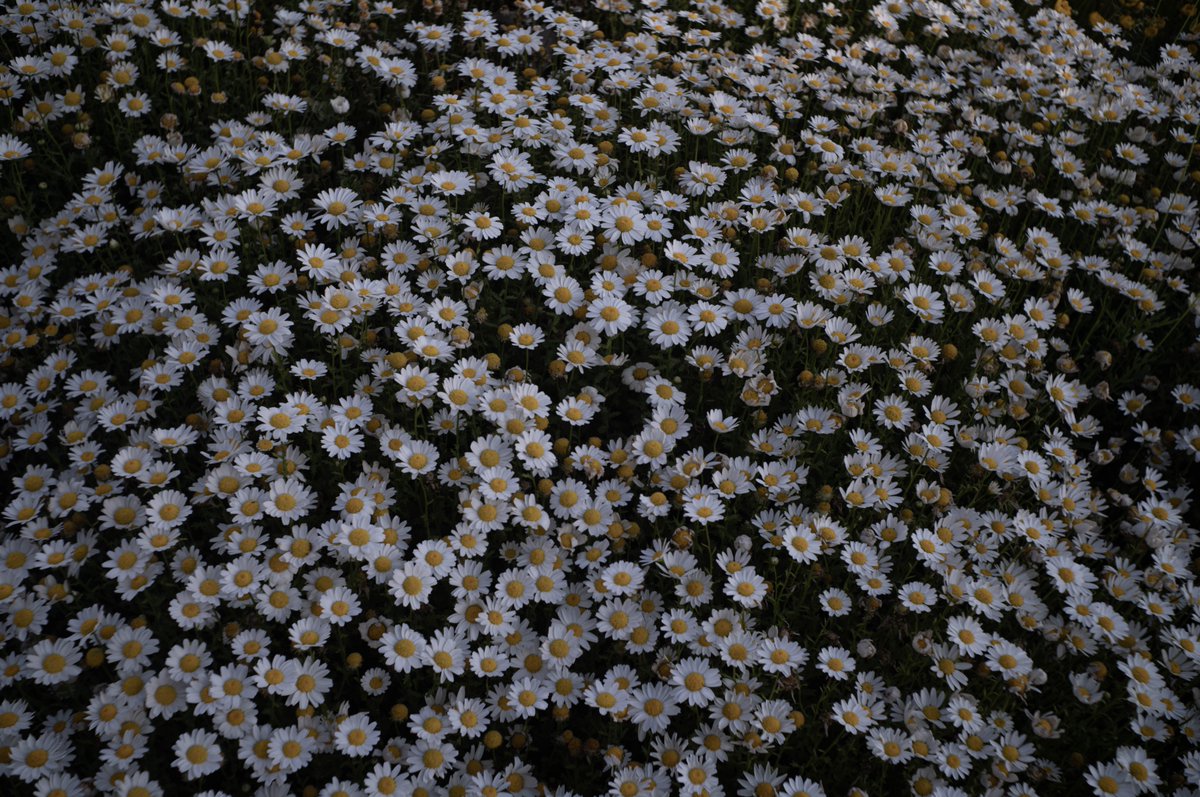 4D Modulation Studio tweet media