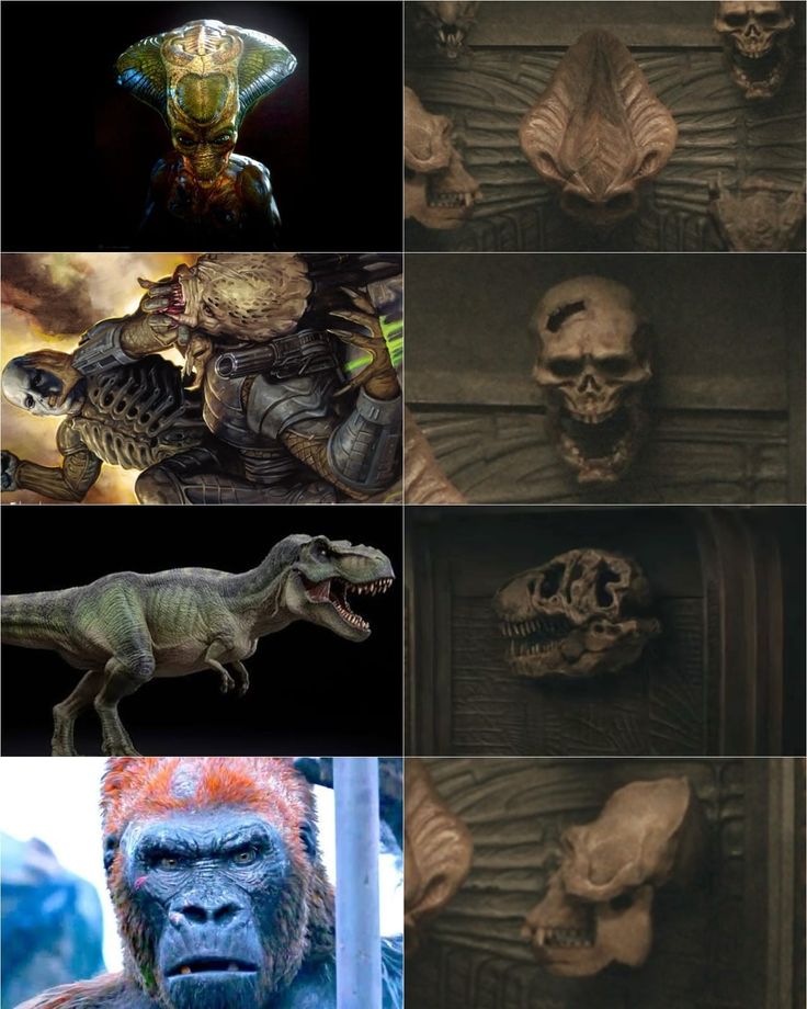 AvP Odyssey (☥𝐃𝐁) tweet media