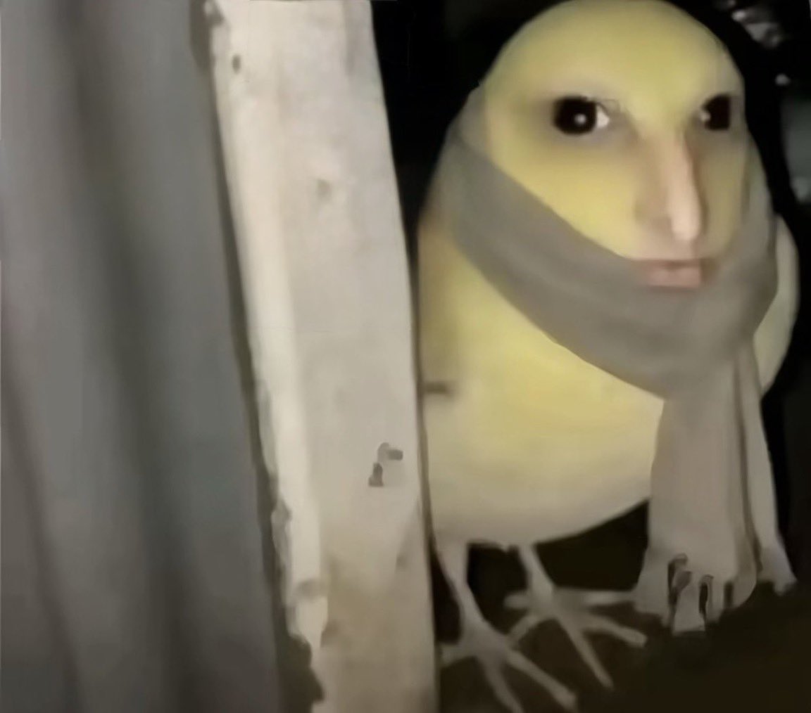 Noven - Sir Peanut tweet media