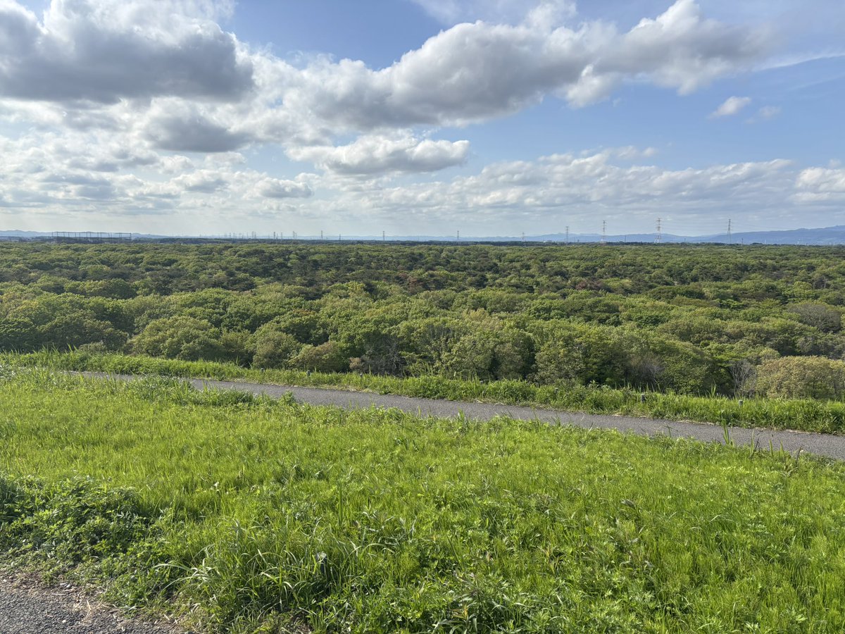 ぬこた🐾🧪 tweet media