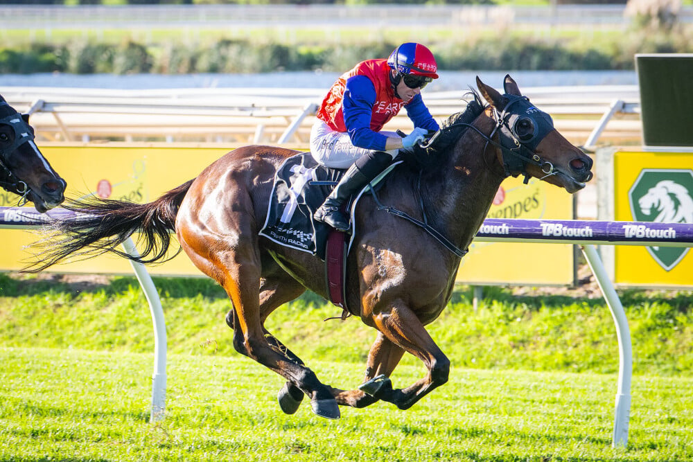 Perth Racing tweet media