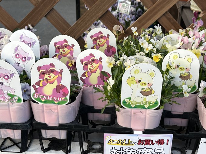 ビオラコーナーのキャラクターかわいい