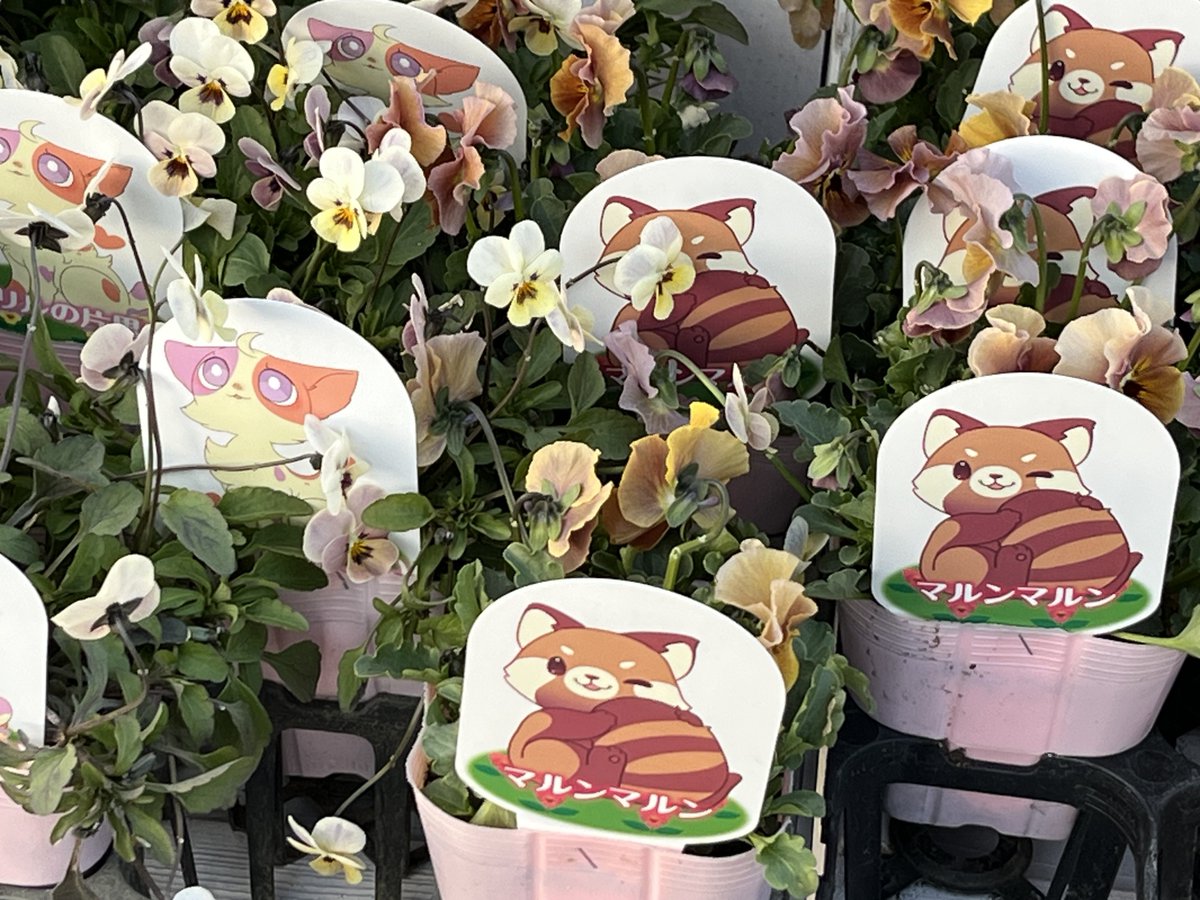 ビオラコーナーのキャラクターかわいい🩷 